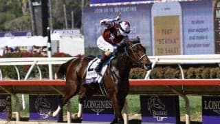 【BCディスタフ】シエラレオーネ、フィアースネスと互角のソーピードアンナ…年度代表馬の可能性は？