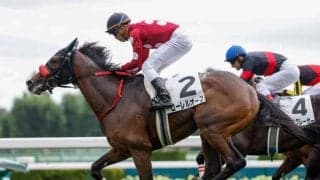 【デイリー杯2歳S展望】朝日杯FSの前哨戦、距離短縮組に妙味あり