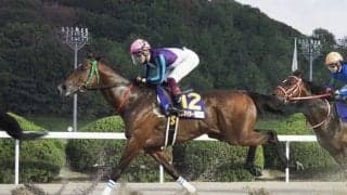 【JBCスプリント】笹川「衰えは感じない」レース後ジョッキーコメント