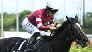 各国で年度代表馬を出す名種牡馬「ダルシャーン」 新たな活力源として注目受ける一頭を深堀り