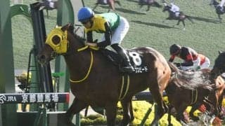 【豪・メルボルンC結果】ナイツチョイスが優勝！日本のワープスピードは僅差2着