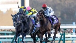 今年も「有馬記念フェスティバル」開催 公開枠順抽選を生中継＆ファン招待