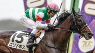 【デイリー杯2歳S予想オッズ】ロンドボスが予想1番人気