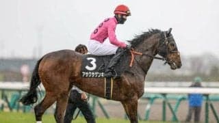 【京都JS予想オッズ】アサクサゲンキが予想1番人気