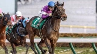 【武蔵野S予想オッズ】エンペラーワケアが予想1番人気