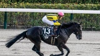 【武蔵野S展望】交流重賞での活躍馬に注目したい