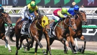 【メルボルンC】菅原明「感謝の気持ちでいっぱい」ワープスピード大健闘2着