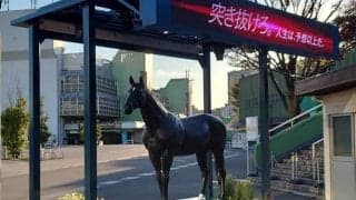 “国民的アイドルホース”は50年経った今もレースレコードに名を残す 6日大井でハイセイコー記念