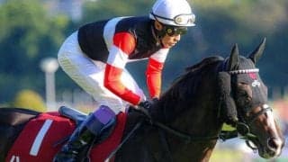 昨年の牝馬クラシックを賑わせたハーツクライ産駒 復活のGI制覇へエリザベス女王杯に挑む