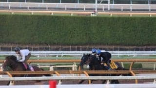 クロワデュノール、東スポ杯2歳S1週前追い切り速報/栗東トレセンニュース