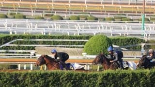 オオバンブルマイなど、マイルCS1週前追い切り速報/栗東トレセンニュース