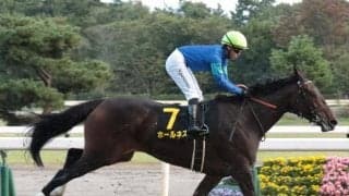 【エリザベス女王杯予想】穴党のAIもお手上げ？ 直近のパフォーマンスが強調材料に