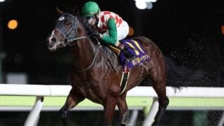 【大井・ハイセイコー記念結果】スマイルマンボが6馬身差で逃げ切りV！重賞初制覇