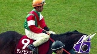 1位は35年前に出た430.6倍！ GIの単勝高配当ランキング