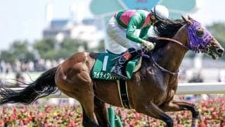 22年東京JS覇者ケイティクレバーが登録抹消 今後は乗馬に