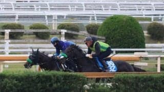 サトノシャイニング、東スポ杯2歳S1週前追い切り速報/栗東トレセンニュース