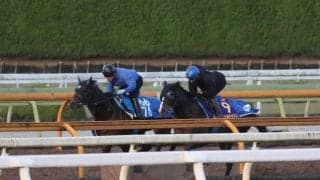 ソウルラッシュ、マイルCS1週前追い切り速報/栗東トレセンニュース