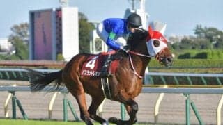 国内外15か所の競馬場を走った重賞3勝馬 バスラットレオンが抹消、種牡馬入り