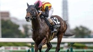 【京都JS出走馬・騎手確定】スマイルスルー＆高田潤騎手、アサクサゲンキ＆小牧加矢太騎手など7頭