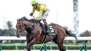 【福島記念出走馬・騎手確定】シリウスコルト＆高杉吏麒騎手、ドクタードリトル＆幸英明騎手など16頭