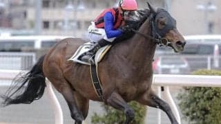 7戦7勝の成績ひっさげJRA転入初戦 誕生日が12月27日の「早生まれ馬」が土曜東京に見参