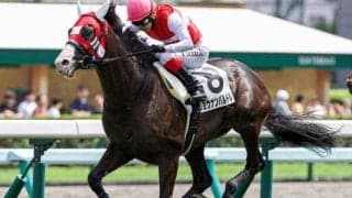 伯父にGI馬持つセレクト3億円ホース 黄菊賞で連勝狙う