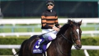 キタサンブラックの半弟が初陣へ 兄の主戦だった武豊騎手を背にデビュー勝ち狙う