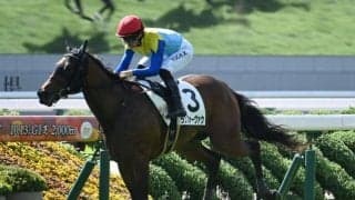 【デイリー杯2歳S枠順確定】ランフォーヴァウは5枠5番、ロヴィーサは7枠7番