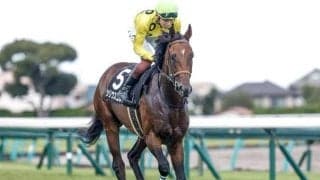 【福島記念枠順確定】シリウスコルトは8枠16番、ドクタードリトルは2枠3番