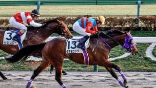 【武蔵野S予想】関西馬が圧倒的な良績を残す！ 関東馬はGIでも通用する能力が必要不可欠