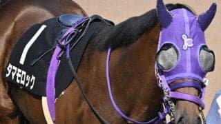 東京ダートマイルはお任せ ムーア騎手のタマモロックが狙い目か