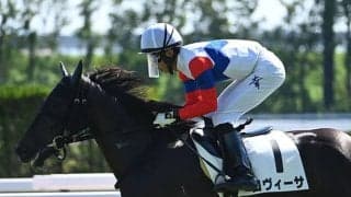 【デイリー杯2歳S予想】前走で素質や能力の高さを示していることが重要!?  前走で人気薄だった馬の取り扱いには注意