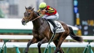 【東スポ杯2歳S想定馬・騎手】ファイアンクランツ、レッドキングリーなど9頭