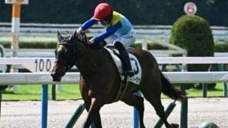 【デイリー杯2歳S予想】少頭数で争われる朝日杯FSへのステップレース