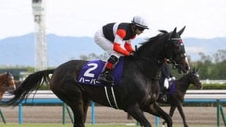 【競馬予想】エリザベス女王杯は本命を出し抜いて一発を狙うトップ騎手がズラリ！ なかでも注目は？