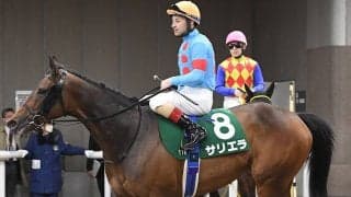 【競馬血統予想】GⅠエリザベス女王杯と相性がいいディープインパクトの血　重賞初勝利を目指す２頭が注目
