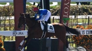 【京都4R新馬戦結果】サンダースノー産駒ナルカミが大差圧勝