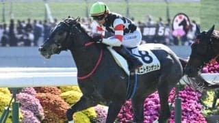 【京都5R新馬戦結果】エピファネイア産駒ミニトランザットが逃げ切りV