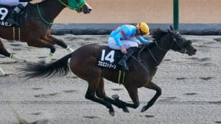 【オキザリス賞】マーカンド騎乗 プロミストジーンがデビュー2連勝