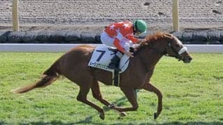 【新馬/東京6R】ルージュナリッシュがデビューV…断然人気マイクインダムは7着