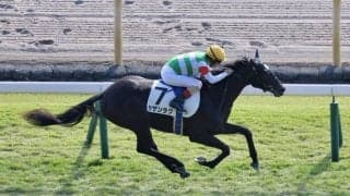 【新馬/東京5R】断然人気カザンラクがデビューV