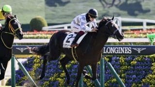 【東京3R】良血リアンベーレが初勝利