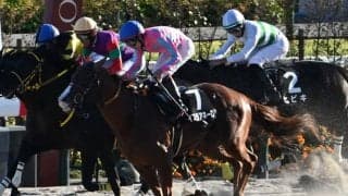 【室町S結果】12番人気イスラアネーロがゴール前で差し切りV