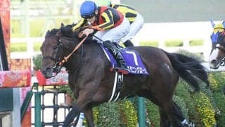 【エリザベス女王杯予想】前走でレベルの高いレースを経験している馬が中心！ 格下のレースから出走する馬は前回での人気に注意