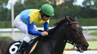 【福島記念予想】幅広い世代が活躍するも高齢馬は苦戦傾向 7歳以上の馬は前走のレース格や内容が重要