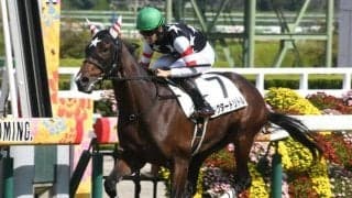 【福島記念前日オッズ】ドクタードリトルが4.9倍で1番人気