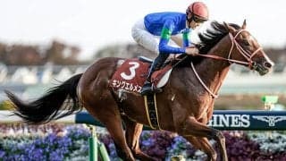 日英仏でG1に参戦 21年京王杯2歳S覇者キングエルメスが8日に登録抹消