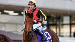 【AI予想・エリザベス女王杯】4歳馬中心も3歳馬に見逃せないデータあり！ 本命は近走の敗因が明確なGIホース