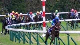 半兄は二刀流の名馬パンサラッサ マードラドが芝マイルで初陣だ