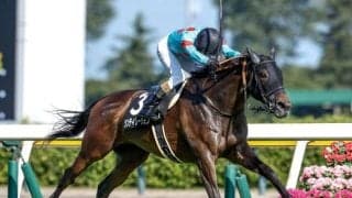 【エリザベス女王杯予想】下半期の最強女王の座をかけ激突 「上がり最速馬」が的中へのカギか